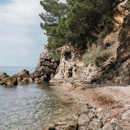 Dhte In An Exceptional Le Pradet